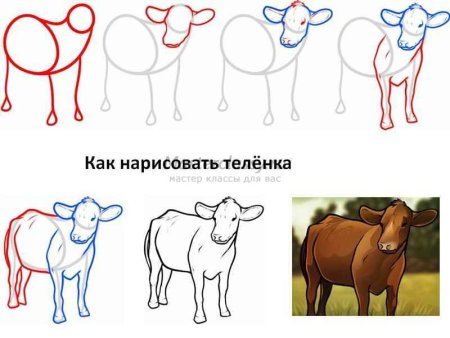 Рисование коровы пошагово