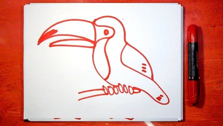 Волк рисунок ручкой