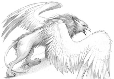 Alvia Alcedo драконы