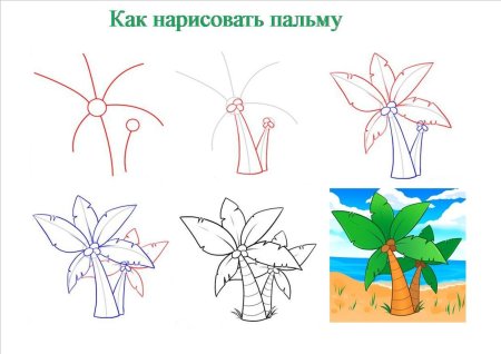 Схема рисования пальмы