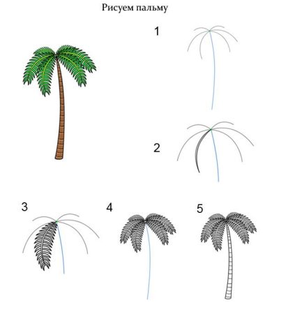 Какинарисовать пальму