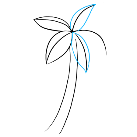 Пальма карандашом не сложный срисовка