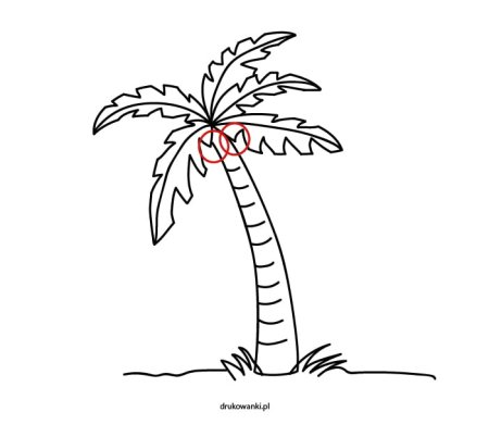 Пальма поэтапно карандашом