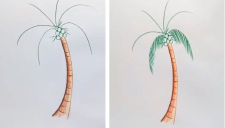 Нарисовать пальму поэтапно для детей