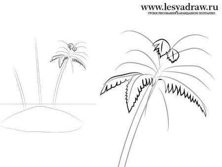 Пальма легкий рисунок