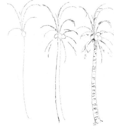 Пошаговое рисование пальмы