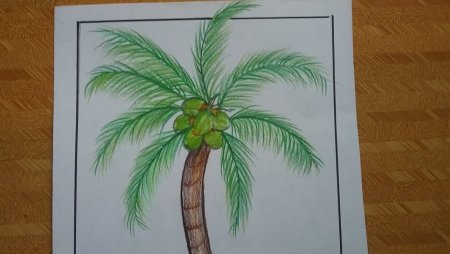 Пальма карандашом
