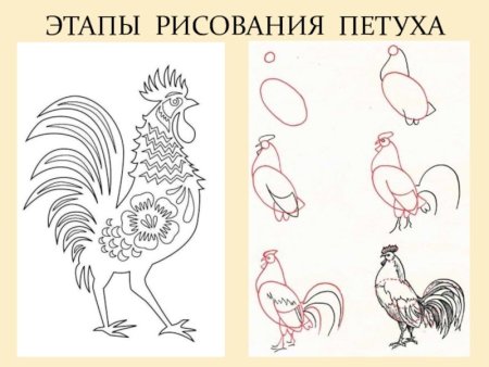 Поэтапное рисование петушка