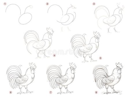 Рисование петушок
