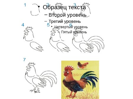 Рисование домашние птицы