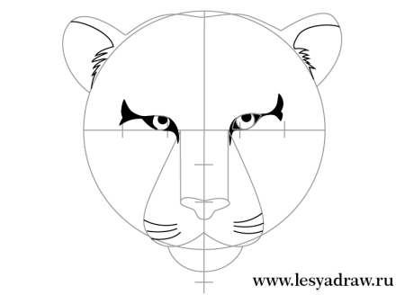 Как рисовать Льва