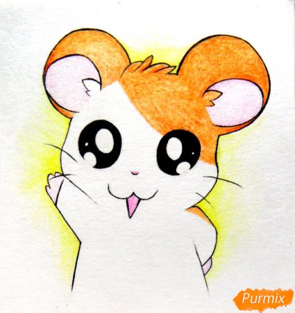 Картинки хомяков для срисовки