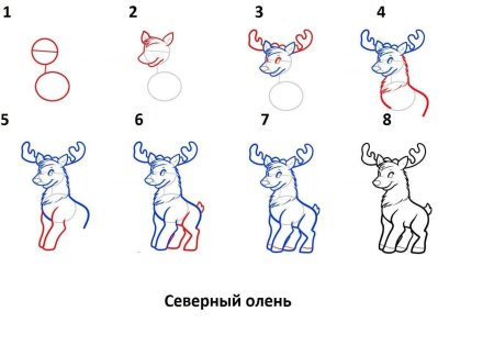 Пошаговое рисование Деда Мороза