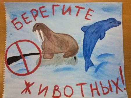 Сохраним природный мир Югры рисунки