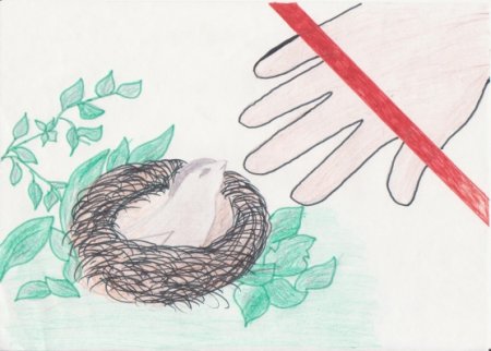 Рисунок на тему защита природы