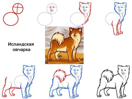 Поэтапное рисование собаки