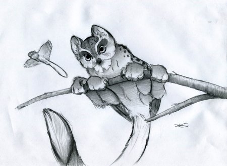 Фантастические животные простым карандашом