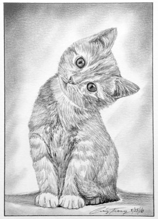 Рисунок тигра карандашом