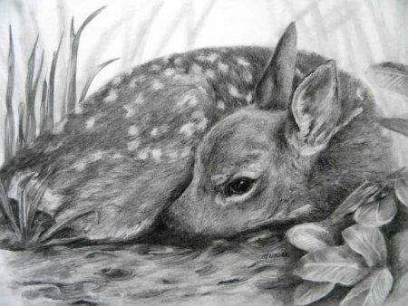 Рисунок собаки для срисовки
