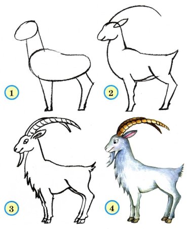Рисование для детей 5-6
