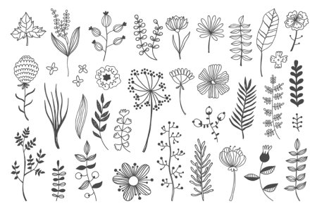 Простые рисунки растений