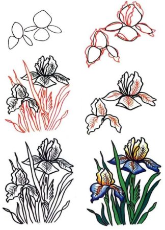 Стилизованные цветы