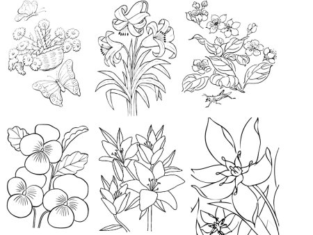 Животные растения грибы