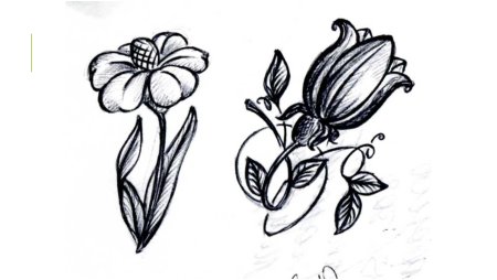 Северный олень раскраска