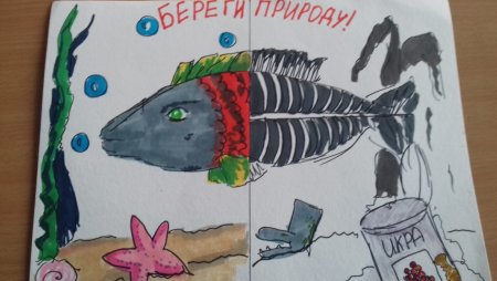 Плакаты берегитетживотных