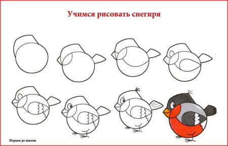 Поэтапное рисование птицы Снегирь