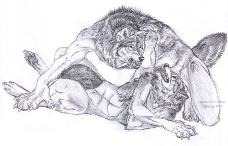 Рисунки для срисовки оборотни