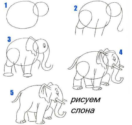 Поэтапное рисование для детей