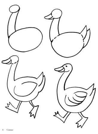 Домашние и Дикие птицы раскраска