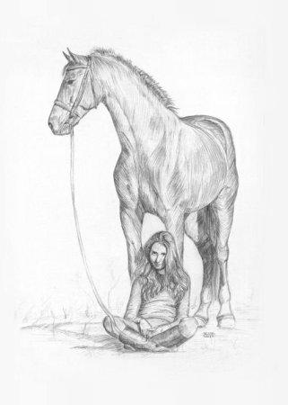 Лошадь рисунок карандашом