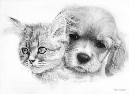 Рисунки для срисовки