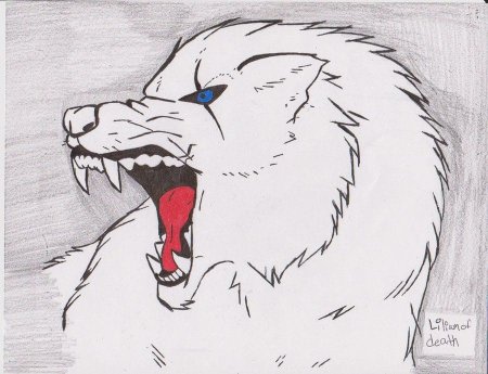 Рисунок волка для срисовки