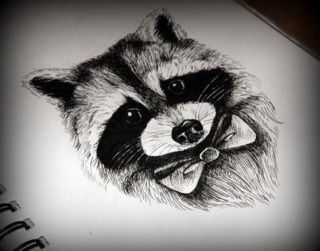 Эскизы карандашом