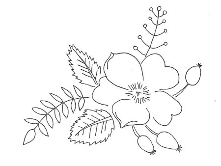 Раскраски для девочек животные