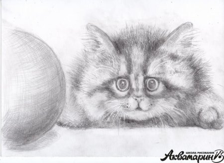 Рисунки карандашом лёгкие