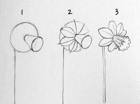 Поэтапное рисование цветы