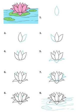 Схемы рисования цветов акварелью