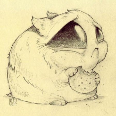 Chris Ryniak