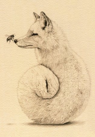 Рисунки карандашом животные