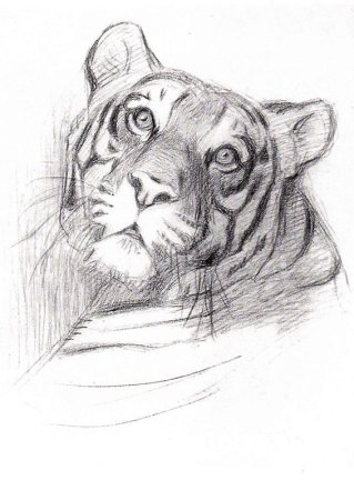 Ватагин тигр