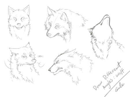 Нарисовать волка карандашом