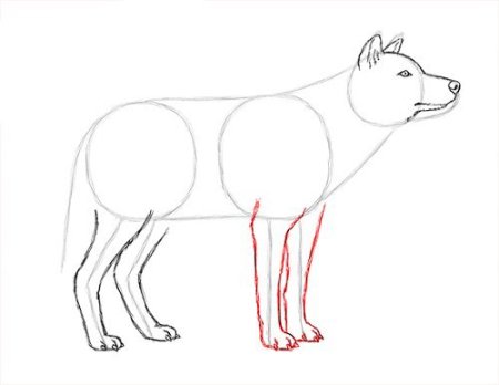 Как нарисовать лисичку