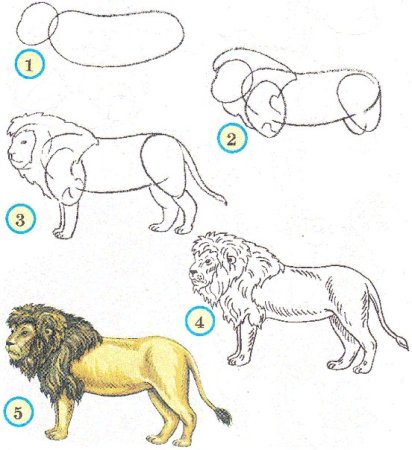 Нарисовать слона