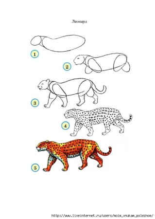 Этапы рисования лисы