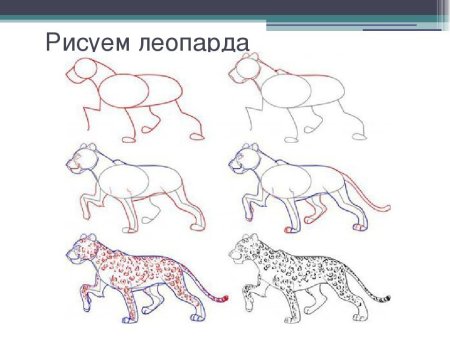 Нарисовать кролика поэтапно