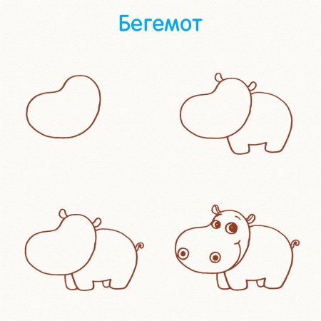 Схемы рисования животных для детей